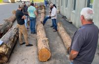 National Hardwood Lumber Association instructor Mark Depp (at right) observes as students in the Log Grading Course review and discuss various samples. (Courtesy Photo)