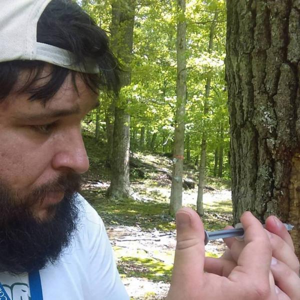 Zachary White, a GSC senior, works in the college forest property