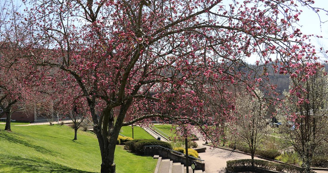 Campus Tour