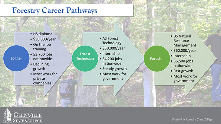 Forestry Career Pathways