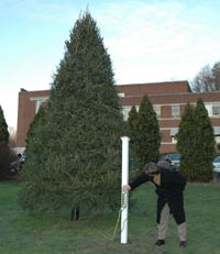 Tree Lighting Ceremony