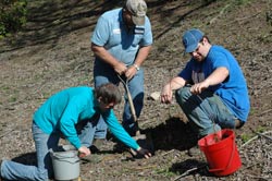 Students Planting Trees