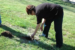 Betsy Barr planting trees
