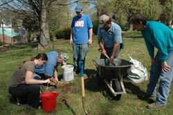 Students Planting Trees