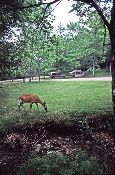 cedar creek state park