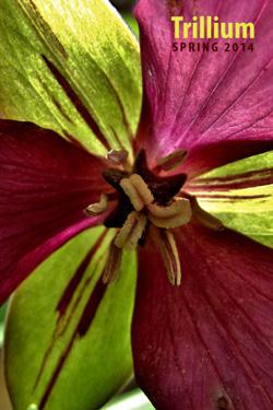 2014 Trillium Cover