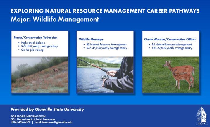 Wildlife Management Career Pathways