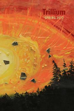2017 Trillium Cover