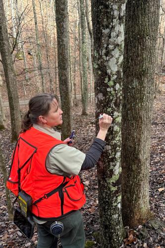 US Forest Service - Karen Kubly