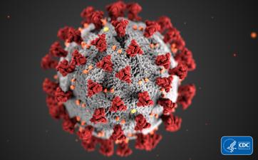 This illustration, created at the Centers for Disease Control and Prevention (CDC), reveals ultrastructural morphology exhibited by coronaviruses. | Illustration credit CDC Alissa Eckert, MS; Dan Higgins, MAM This illustration, created at the Centers for Disease Control and Prevention (CDC), reveals ultrastructural morphology exhibited by coronaviruses. | Illustration credit CDC Alissa Eckert, MS; Dan Higgins, MAM