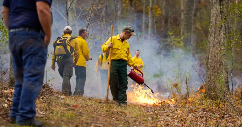 A student in Glenville State College’s fall 2021 Fire Protection course uses a drip torch to light a controlled burn on the College Forest property. Students in the course learn about wildfire behavior, how to develop a fire plan, and are instructed on the use of controlled burns as a means of fire suppression. (GSC Photo/Kristen Cosner)