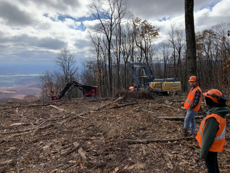Students preparing a controlled burn.