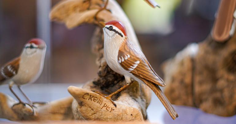 A carved chipping sparrow on display as part of Claude and Ethel Kemper “The Birds of My Hollow” collection at Glenville State College’s Robert F. Kidd Library. (GSC Photo/Kristen Cosner)