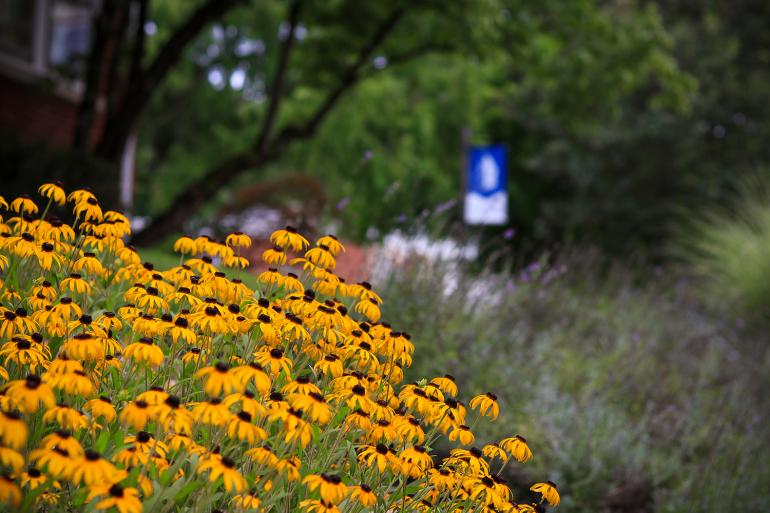 Applications are now being accepted for the Women’s Leadership Circle Scholarship. Applications are now being accepted for the Women’s Leadership Circle Scholarship. (GSC Photo/Kristen Cosner)