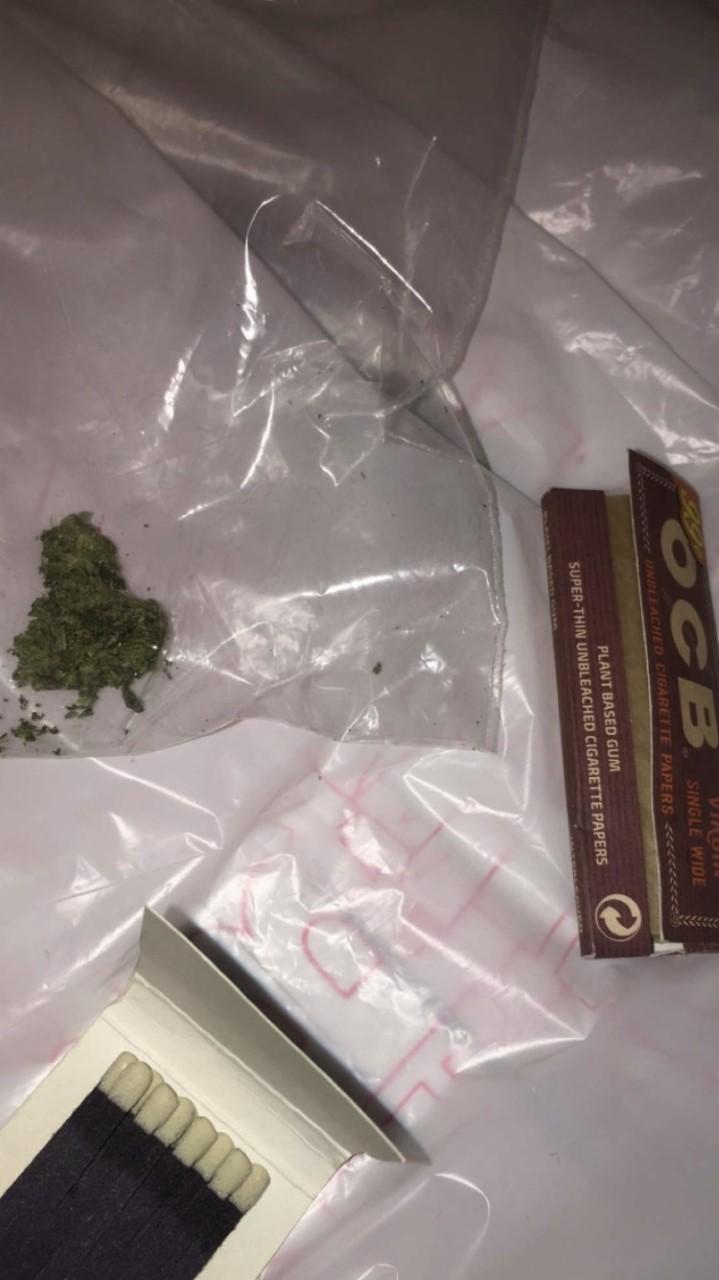 weed paraphilia weed paraphilia
