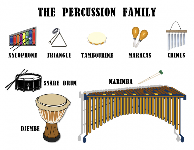 Percussion Family Percussion Family