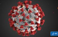 This illustration, created at the Centers for Disease Control and Prevention (CDC), reveals ultrastructural morphology exhibited by coronaviruses. | Illustration credit CDC Alissa Eckert, MS; Dan Higgins, MAM