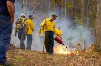A student in Glenville State College’s fall 2021 Fire Protection course uses a drip torch to light a controlled burn on the College Forest property. Students in the course learn about wildfire behavior, how to develop a fire plan, and are instructed on the use of controlled burns as a means of fire suppression. (GSC Photo/Kristen Cosner)