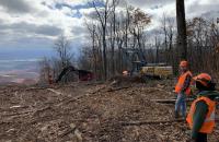 Students preparing a controlled burn.