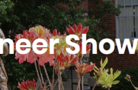 Pioneer Showcase 2019