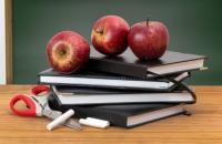 Teacher Excellence Award