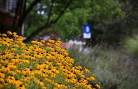 Applications are now being accepted for the Women’s Leadership Circle Scholarship. (GSC Photo/Kristen Cosner)