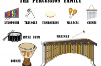 Percussion Family